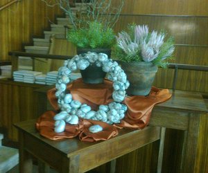 Die skepping se troos